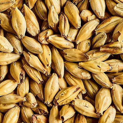 MALT PREMIUM ENGLISH CARAMALT