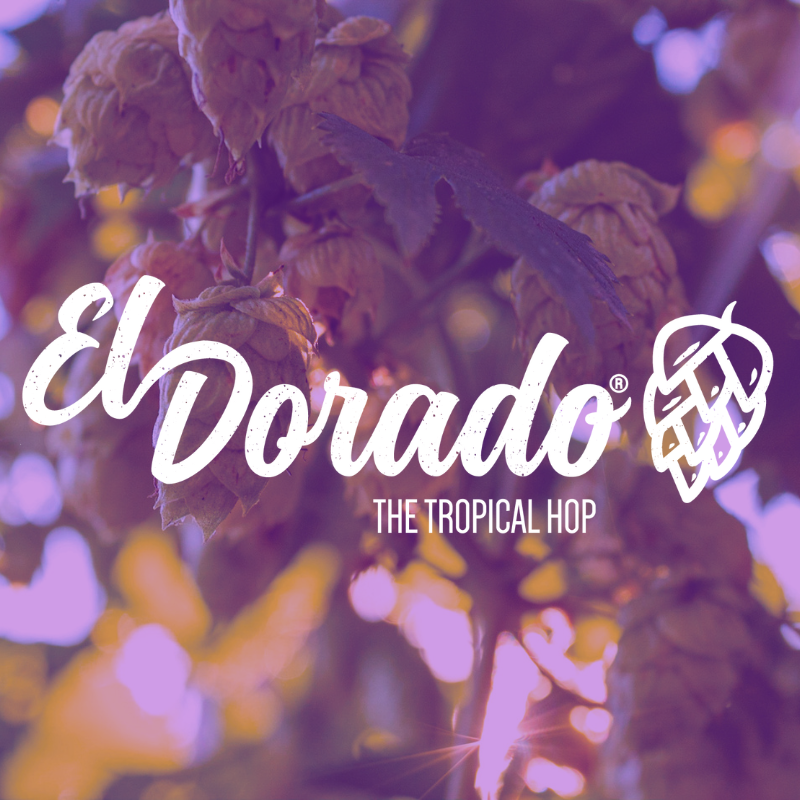 HOUBLON EL DORADO PELLET CROSBY