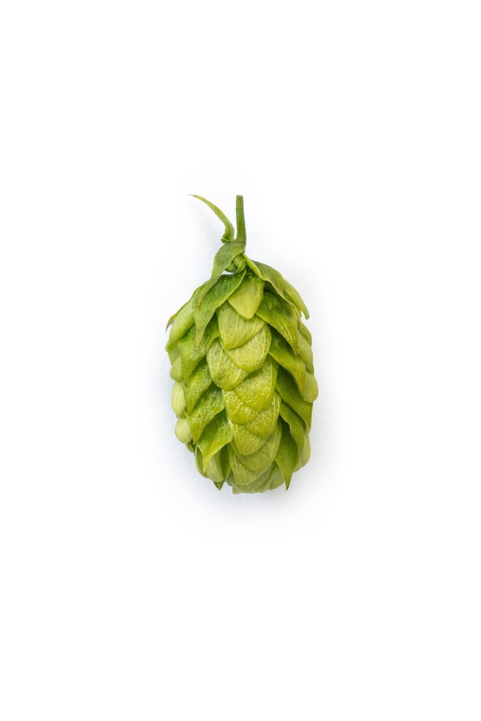 HOUBLON MITTELFRÜH PELLET HVG 