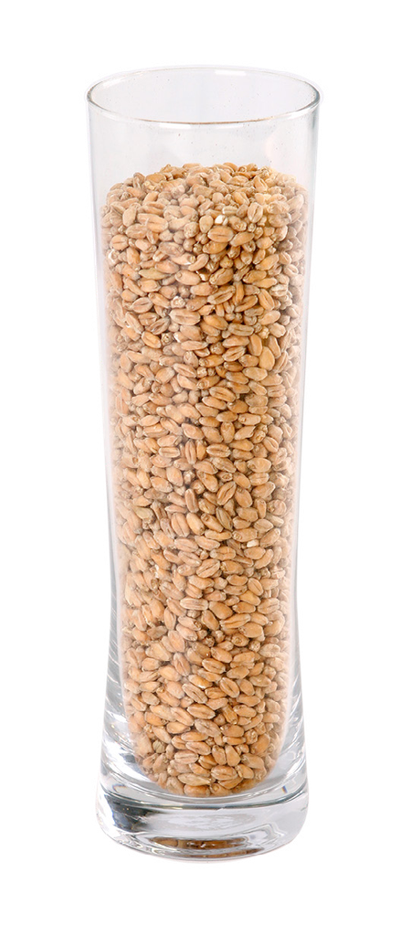 IREKS WHEAT MALT LIGHT                 