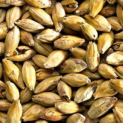 AMBER MALT