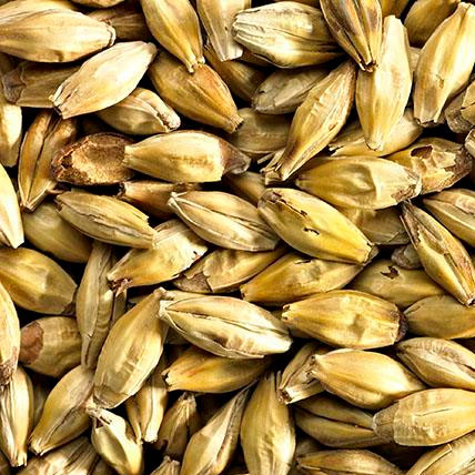 AROMATIC MALT