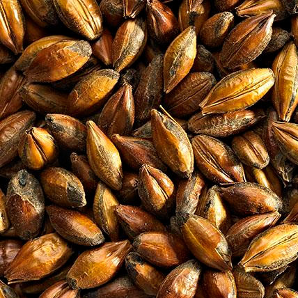 BROWN MALT