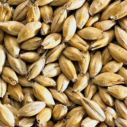 BEST PALE ALE MALT