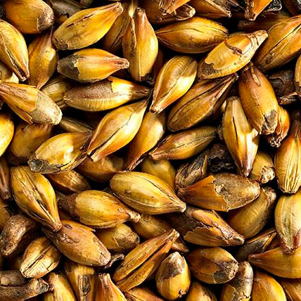 MALT CRYSTAL EXTRA DARK