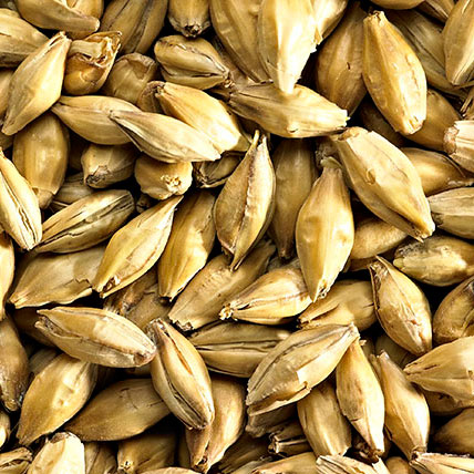 FINEST LAGER MALT