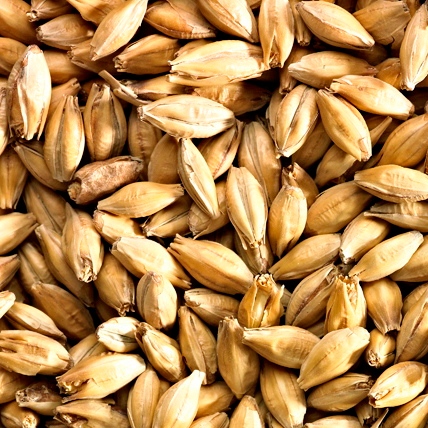 MALT F. GOLDEN PROMISE