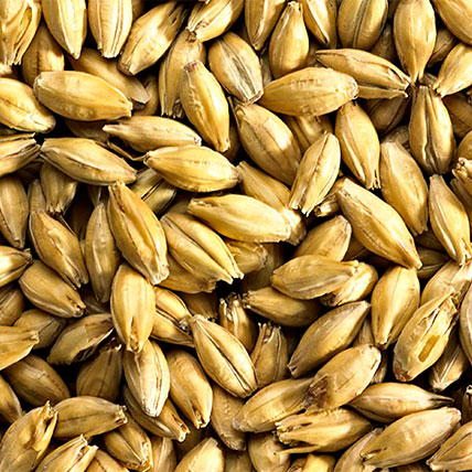 MALT FINEST P.A MARIS OTTER