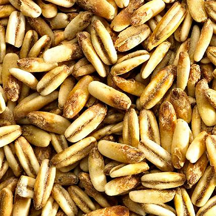 MALT GOLDEN NAKED OATS