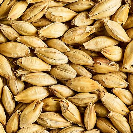 VIENNA MALT