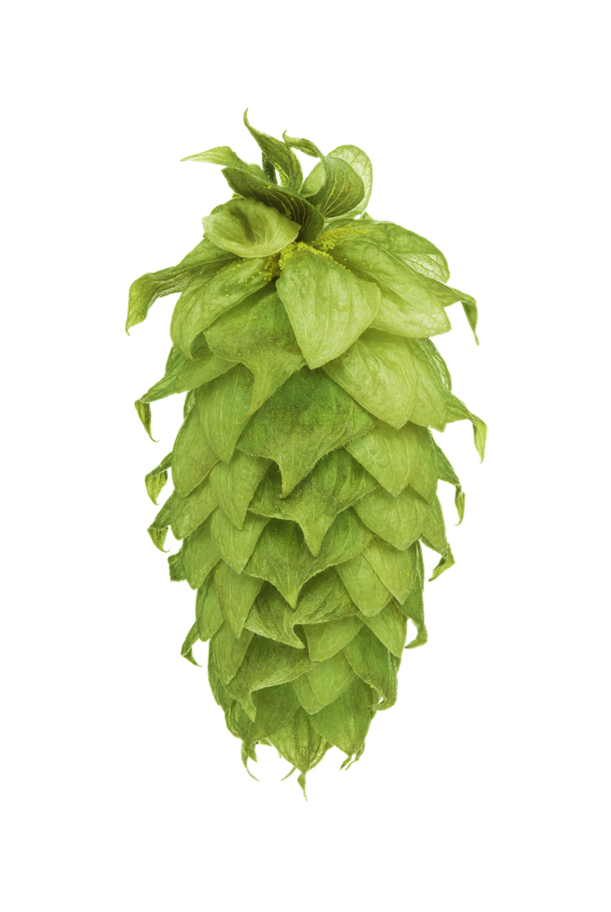 HOUBLON WAIMEA PELLET HOP REV. 2024