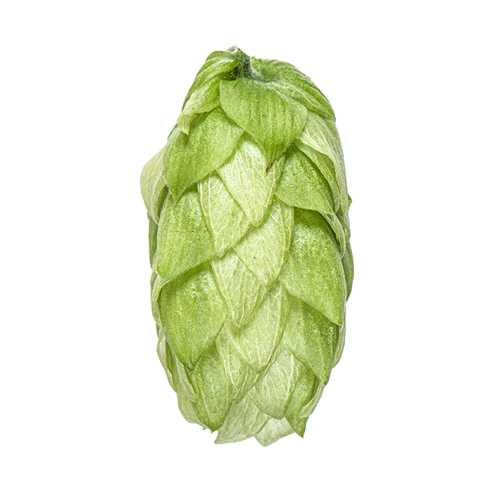 HOUBLON KOHATU PELLET HOP REVOLUTION  2024