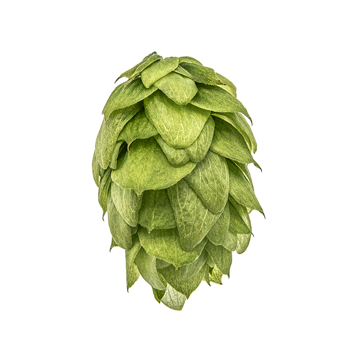 HOUBLON CRYSTAL PELLET YAKIMA 2024