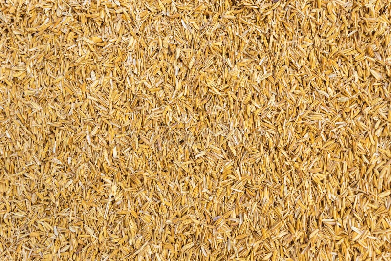 BALLES DE RIZ  200 lt - 18kg