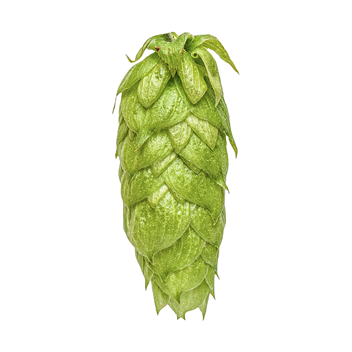 HOUBLON CRYO HOPS NELSON SAUVIN YAKIMA 2025