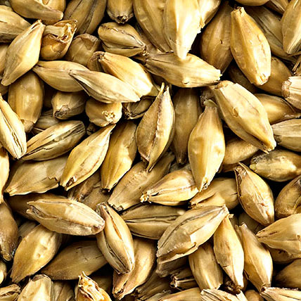 VERY HEAVY PEATED MALT 25KG >80PPM