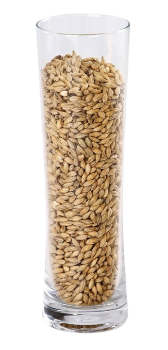 MALTA IREKS BISCUIT MALT      