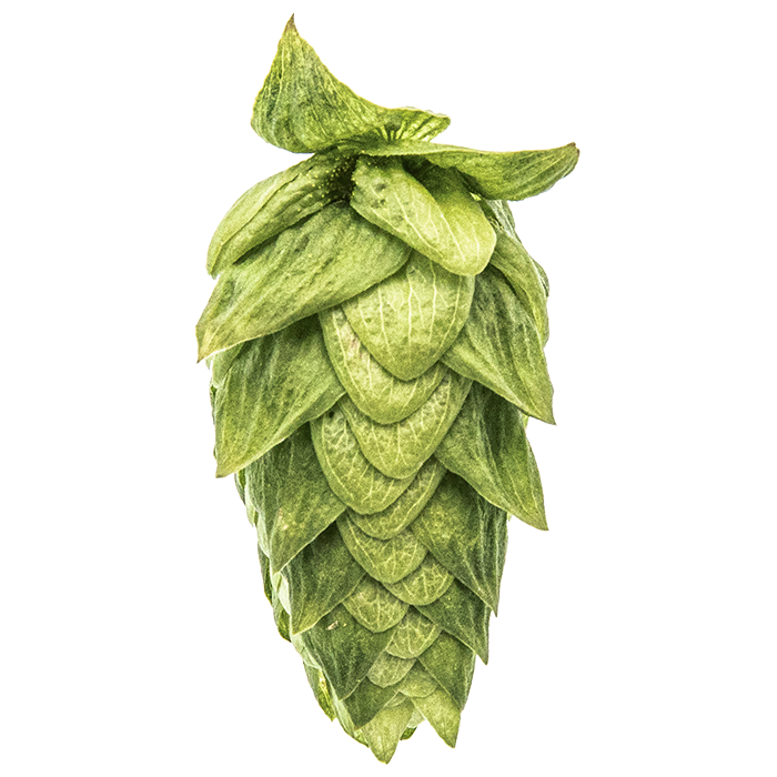 HOUBLON CASCADE PELLET YAKIMA 2025