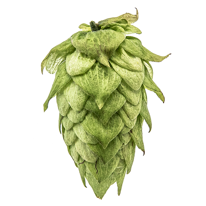 HOUBLON CENTENNIAL PELLET YAKIMA 2025 
