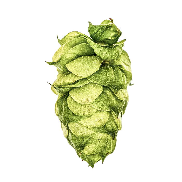 HOUBLON  DOLCITA PELLET YAKIMA 2025