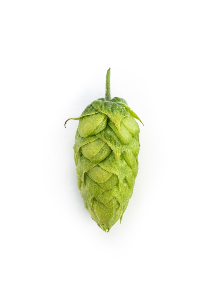 HOUBLON HERKULES PELLET HVG 2025  