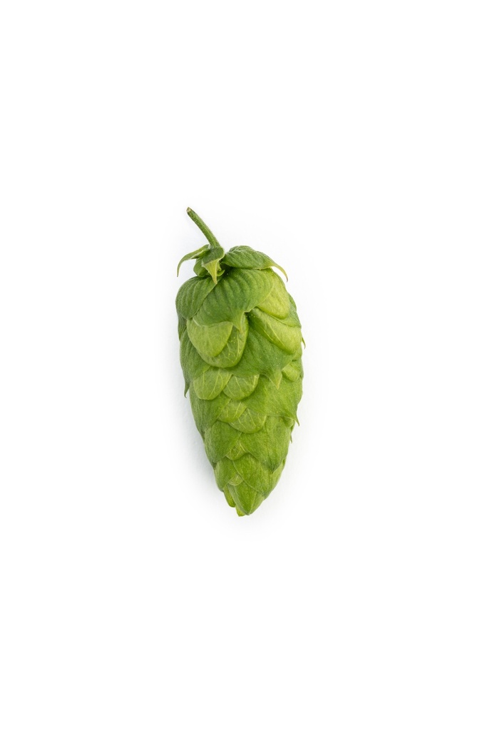 HOUBLON HUELL MELON HVG 2025