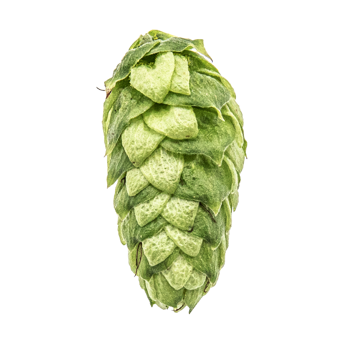 HOUBLON LORAL PELLET YAKIMA
