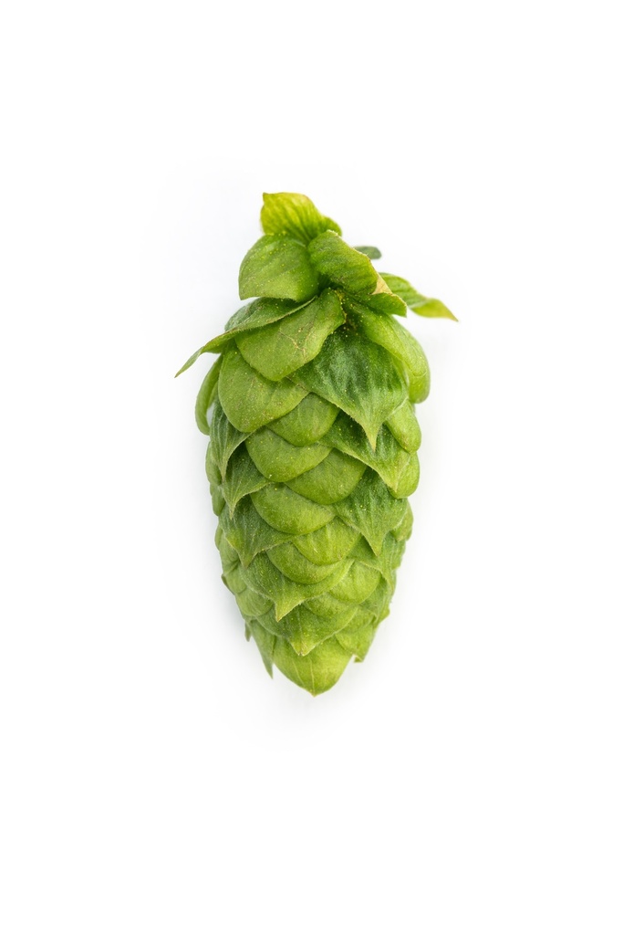 HOUBLON MANDARINA PELLET HVG 2025