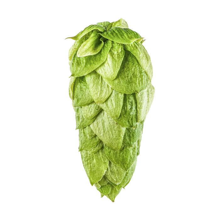 HOUBLON SUPERDELIC PELLET YAKIMA 2025