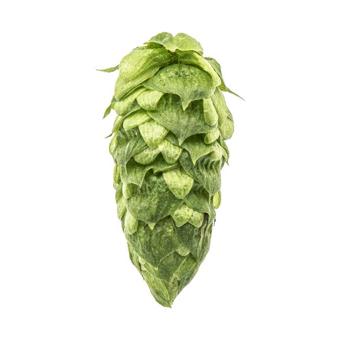 HOUBLON SIMCOE PELLET YAKIMA 2025