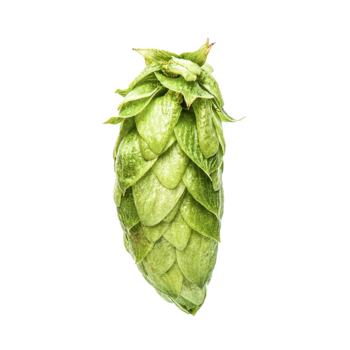 HOUBLON NECTARON PELLET YAKIMA 2025