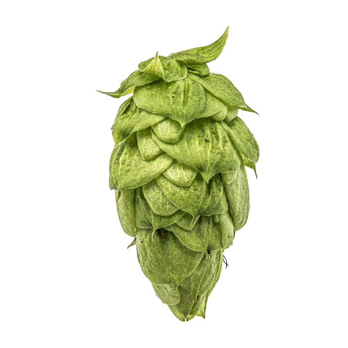 HOUBLON NUGGET PELLET YAKIMA 2025