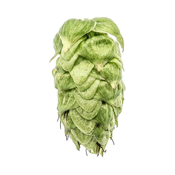 HOUBLON SABRO PELLET YAKIMA 2025