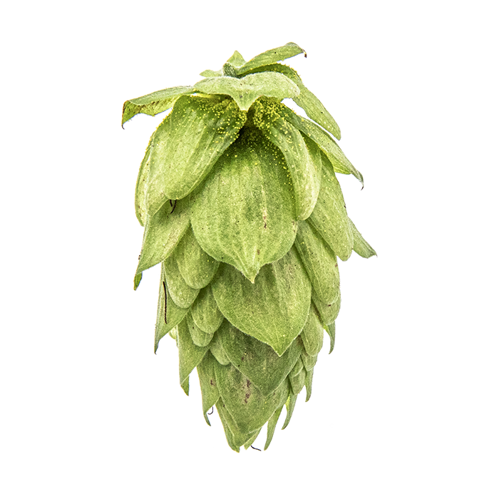 HOUBLON SORACHI ACE PELLET 2025