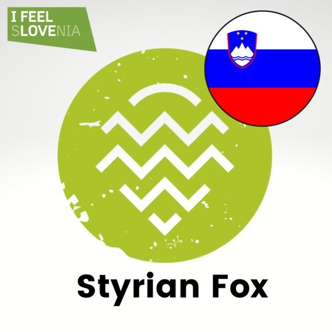 HOUBLON STYRIAN FOX PELLET HOPSI 2025