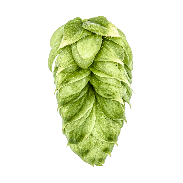 HOUBLON TALUS PELLET YAKIMA 