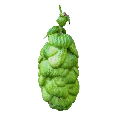 HOUBLON TARGET PELLET CHARLES FARAM 2025
