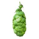 HOUBLON TARGET PELLET CHARLES FARAM 2025