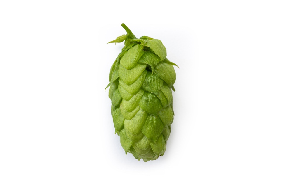 HOUBLON TETTNANGER PELLET HVG 