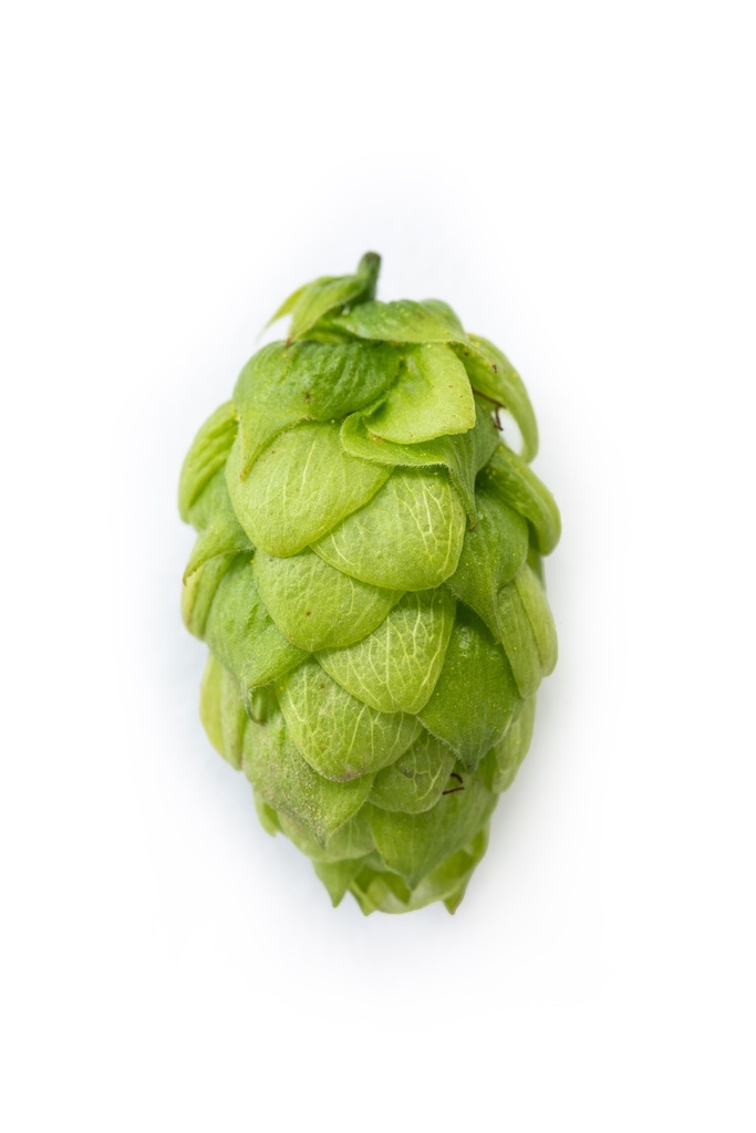 HOUBLON TRADITION PELLET HVG 2025
