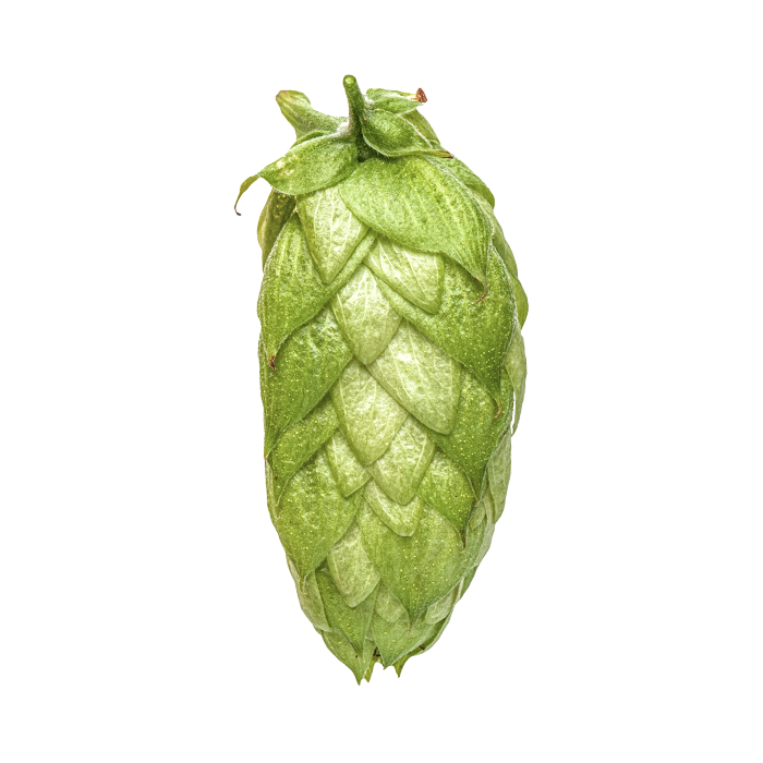 HOUBLON WAIMEA PELLET YAKIMA 2025