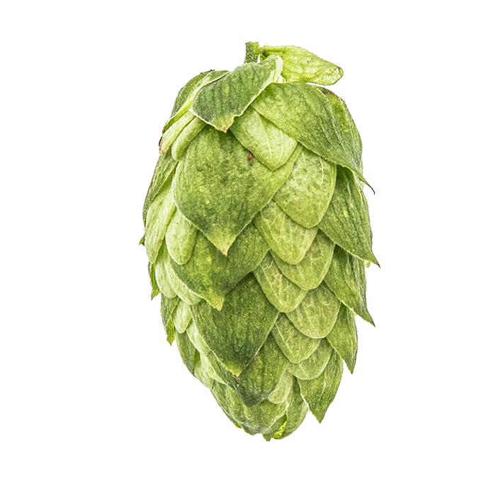 HOUBLON AMARILLO PELLET YAKIMA 2025