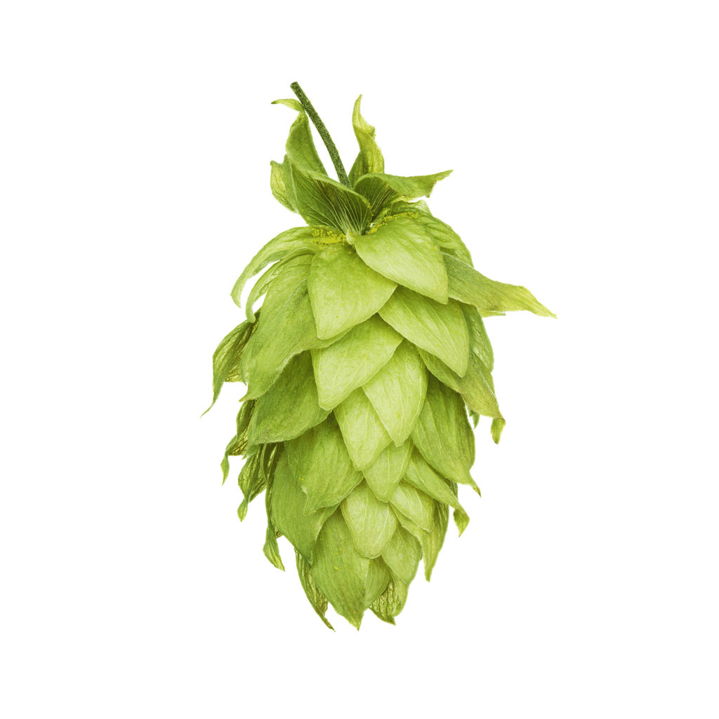 HOUBLON MOTUEKA PELLET HOP REVOLUTION 2025