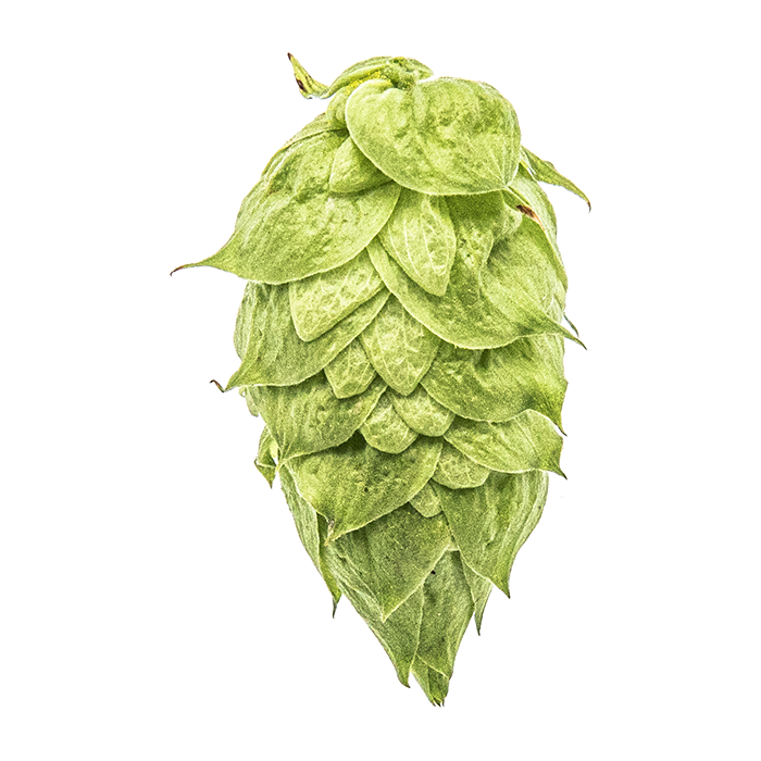 HOUBLON CRYO HOPS EKUANOT PELLET YAKIMA 2025