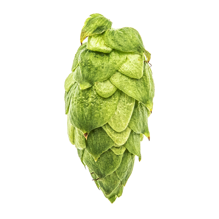 HOUBLON CRYO HOPS CITRA PELLET YAKIMA 2025