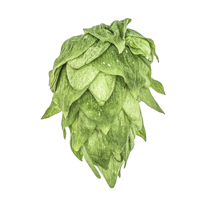 HOUBLON CRYO HOPS KRUSH PELLET YAKIMA 2025