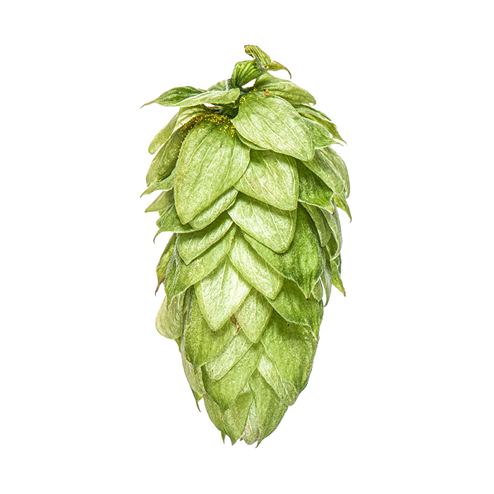 HOUBLON CRYO HOPS MOTUEKA PELLET YAKIMA