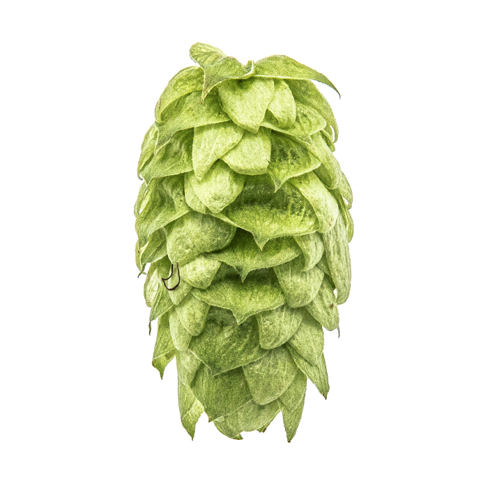 HOUBLON CRYO HOPS MOSAIC PELLET YAKIMA 2025