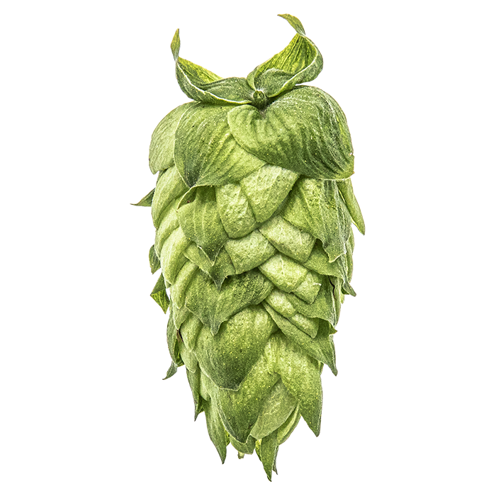 HOUBLON CRYO HOPS IDAHO 7 PELLET YAKIMA 2025