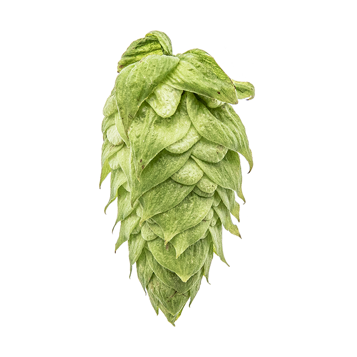 HOULBON CRYO HOPS EL DORADO PELLET YAKIMA 2025